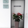 kr-physio1